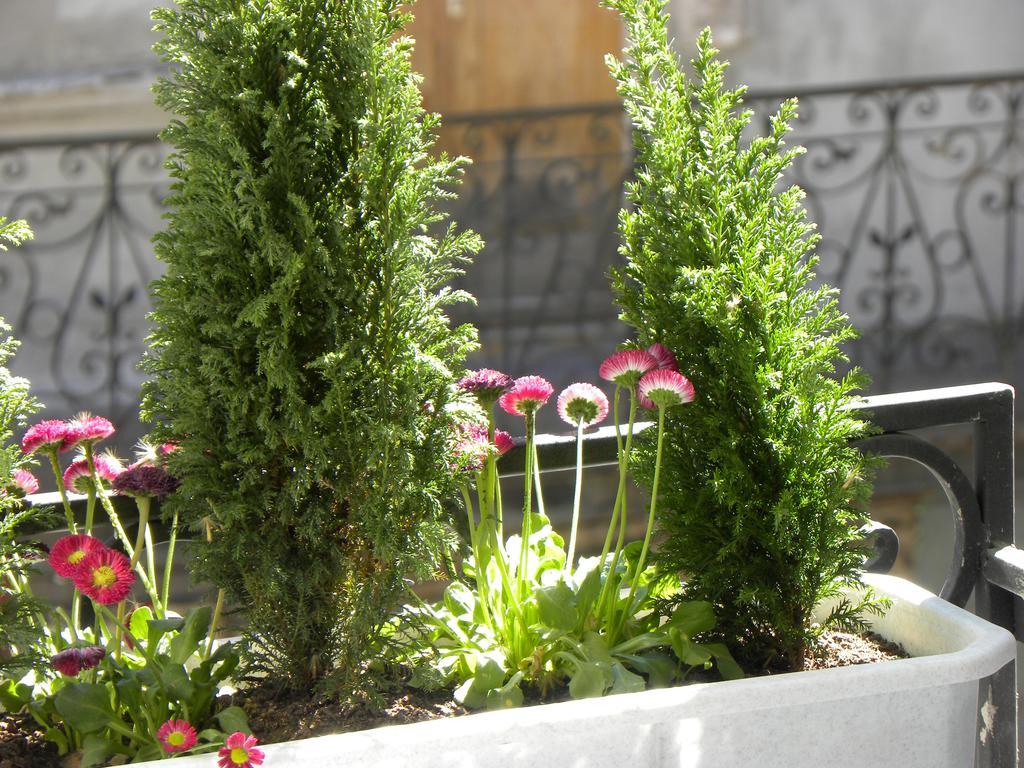 Prince Machabeli Apartments Tbilisi Buitenkant foto